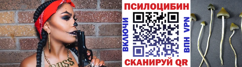 как найти наркотики  Курск  Галлюциногенные грибы мухоморы 